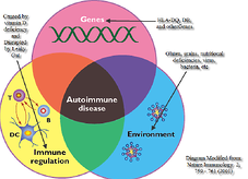Genomic defects are linked to autoimmune diseases