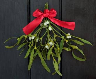 bigstock-Christmas-mistletoe-with-red-r-100931870
