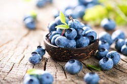 bigstock-Freshly-picked-blueberries-in--102950777