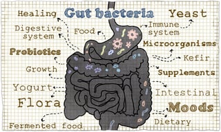 bigstock-Illustration-About-Gut-Bacteri-121327964.jpg