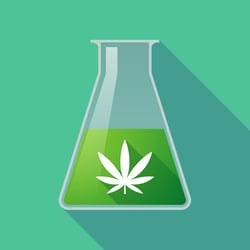 Chemistry with Cannabis-Quiz