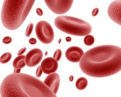 bigstock-Red-blood-cells-26357171.jpg