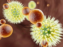 bigstock-Virus-Vs-Immune-System-21279029.jpg